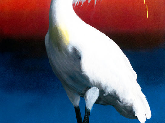 Manukau - Only Birds