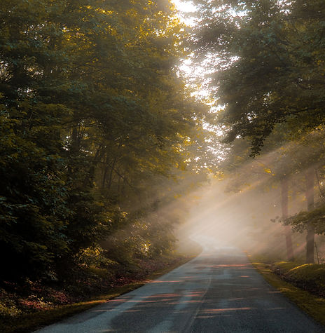 Sunlit open road through trees symbolizing a clear path to simplified equity compensation decisions