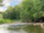Get professional help with US tax filings so you don't find yourself swimming upstream