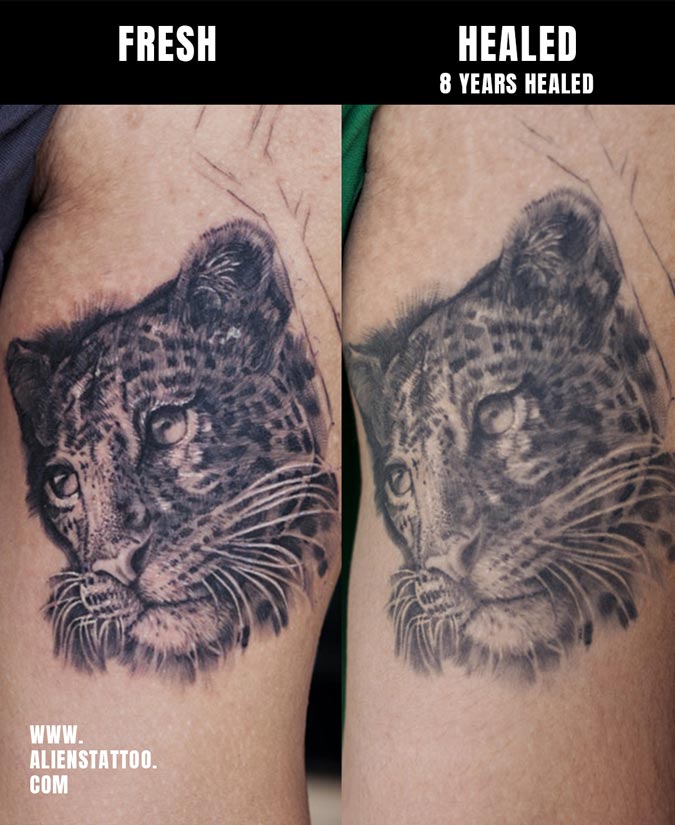tiger tattoo