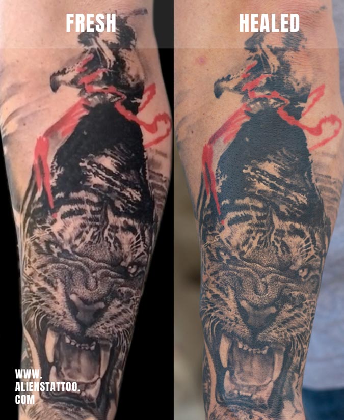 tiger face tattoo
