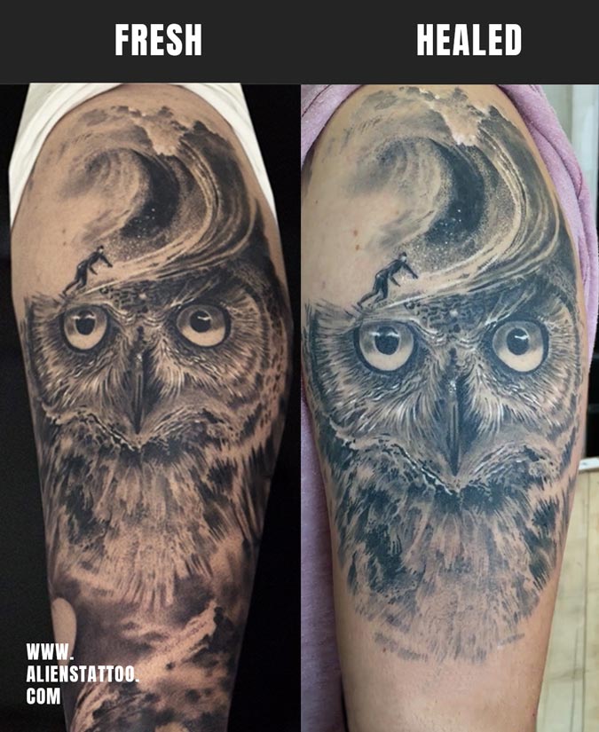 owl tattoo