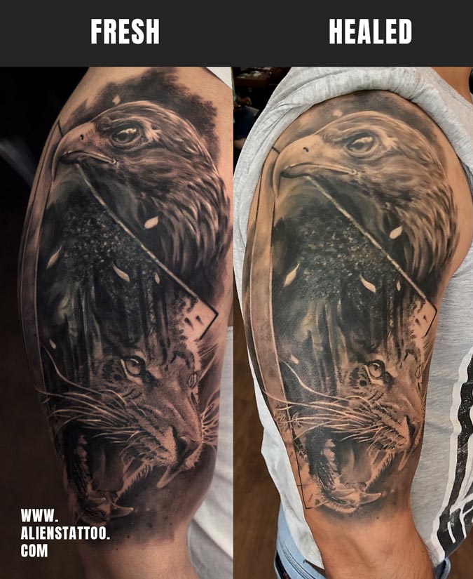 dualism eagle and lion tattoo