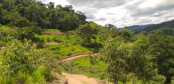 Visual da pista em Amparo (Divulgação)