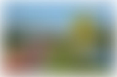 Shimano promove o Pedal das Capivaras hoje e comemora o início da despoluição do Rio Pinheiros