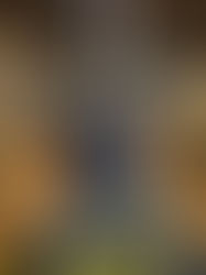 Neste domingo (16), em Florianópolis, Luigi Vanzella participa pela primeira vez de uma etapa da World Triathlon Cup