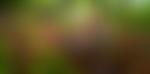 Últimos dias para se inscrever na CIMTB