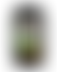 Garmin Brasil inaugura a primeira loja exclusiva da marca no País