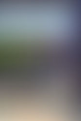 70.3 São Paulo: campeã e vice no feminino confirmam vaga no Mundial Ironman 70.3