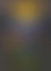 Thiago Camilo atual líder da Stock Car, é o mais novo embaixador da Cannondale no Brasil