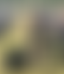 Larissa Fabrini trocou a sala de aula pelo triatlo e busca o bi no age group do IM Brasil