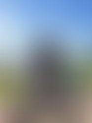 Luigi Vanzella disputa o Sesc Triathlon Caiobá neste domingo (15) no Paraná