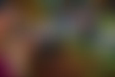 CIMTB encerra temporada de 2023 em Congonhas (MG), com balanço positivo e projetando próximo ano