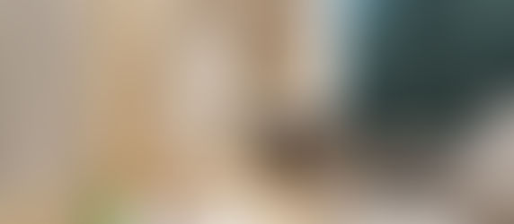 雍明苑 | 將軍澳 | 568Ft. 2廳 + 3房