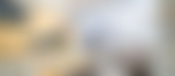 黃埔花園 | 紅磡 | 503Ft. 2廳 + 2房