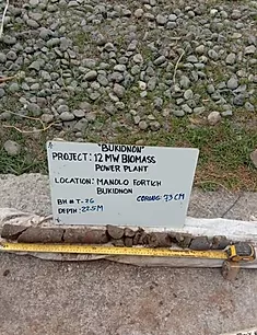 91961448_2890611791019690_52274511718027