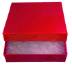 red box.png