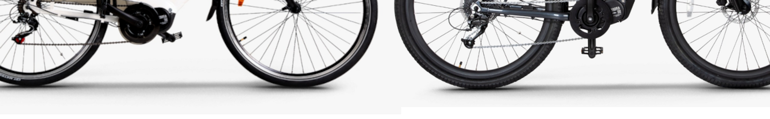 Electric bikes - City Bikes