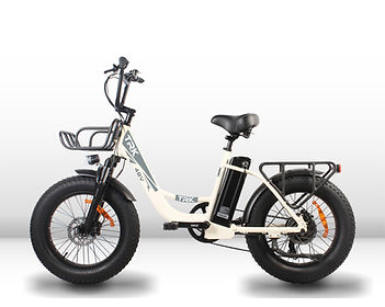 algi-ebikes-bicicletta-elettrica-trk-venere-bianco-1000.jpg