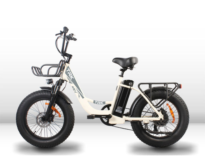 Bicicletta Elettrica Fat bike, algi ebikes, venere, TRK, bici uomo donna,