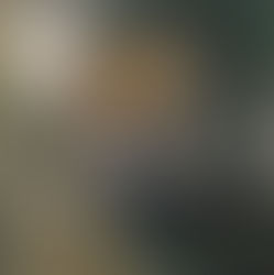 RBA open at The Mall Galleries