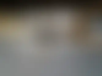 Oh, the Weather Outside Is Frightful; an Indoor Dog Park Would Be Delightful