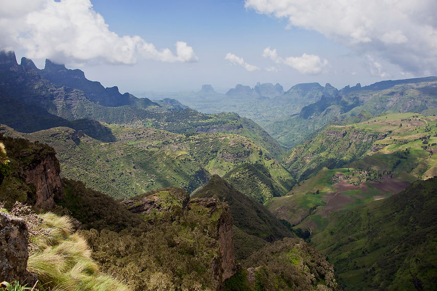 Simien 3.jpg