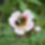 1W2A5621.jpg