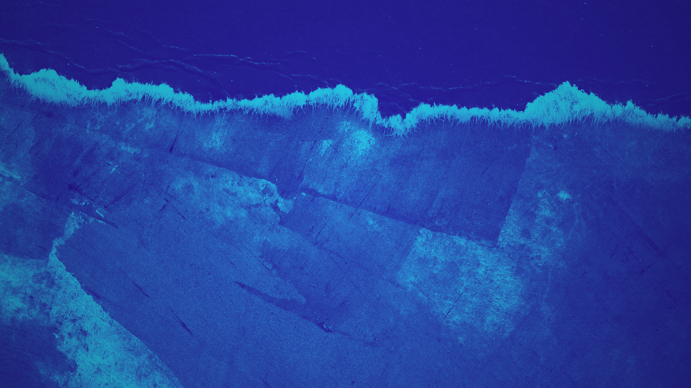 Untitled design (15).png