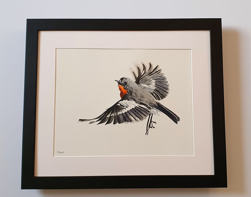 Thumbnail: Flame Robin