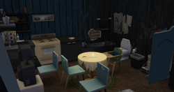 10- Anibal's hut inside 2 years later.pn