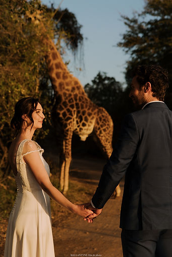 Mariage Safari avec girafe