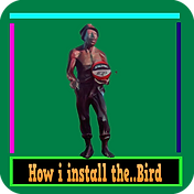 rfv1 bird.png