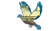 vlcsnap-201e e2 SMALL.png