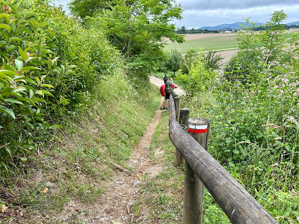 Do You Need an App to Walk the Le Puy Route?