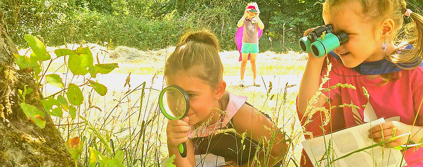20250621_133442_edited_edited.jpg