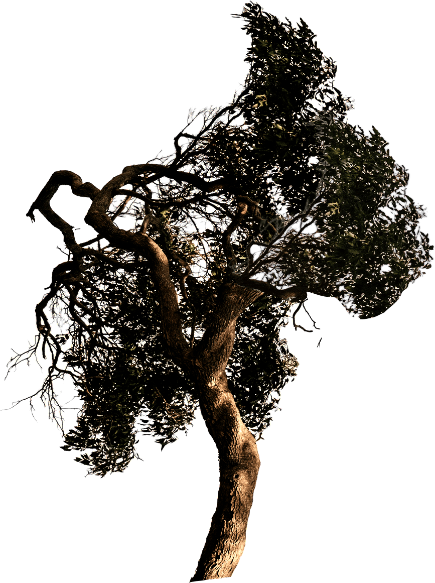 GumTree 2.png