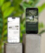 Mockup_LB_3.jpg