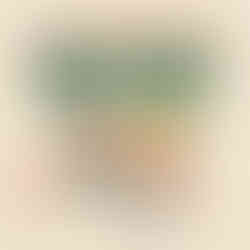 Free Social Media Cheat Sheet 2025