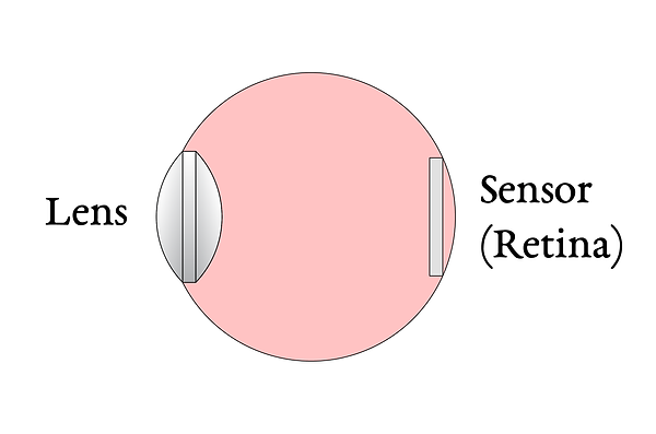 The-Human-Eye-Simplified-Labeled.png