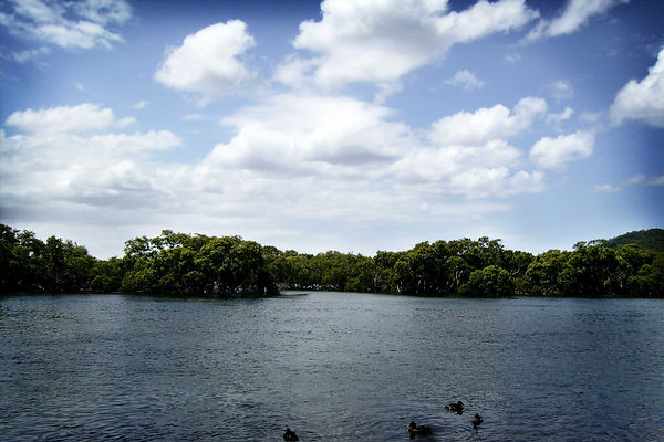 Vignetting.jpg