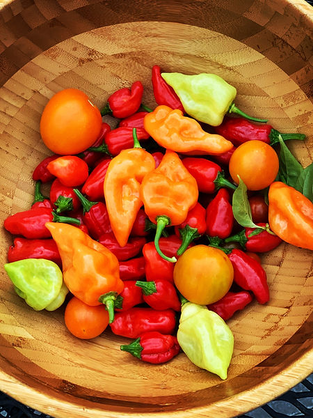 peppers.JPG