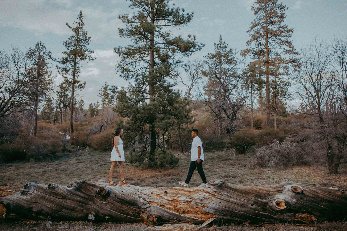 Laguna Mountain Engagement Photography, San Diego Engagement Photographer