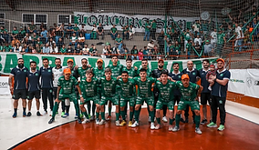 imagem_2025-05-27_153616616.png