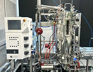TFTAK Pilot Plant 70L bioreactor