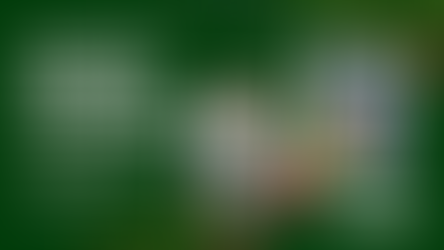 Holiday Season Cleaning: Why Professional Janitorial Services Matter for Your Business in Ventura County