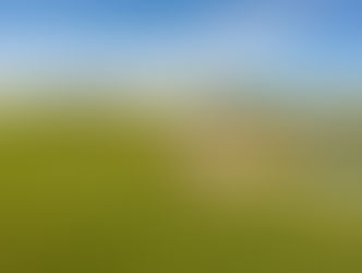 Day 15 - Happy New Year