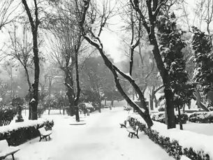 HÜZNÜN BEYAZI