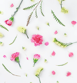 Yellow and Pink Flowers