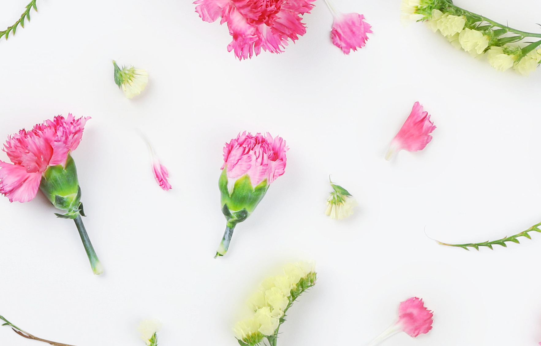 Yellow and Pink Flowers